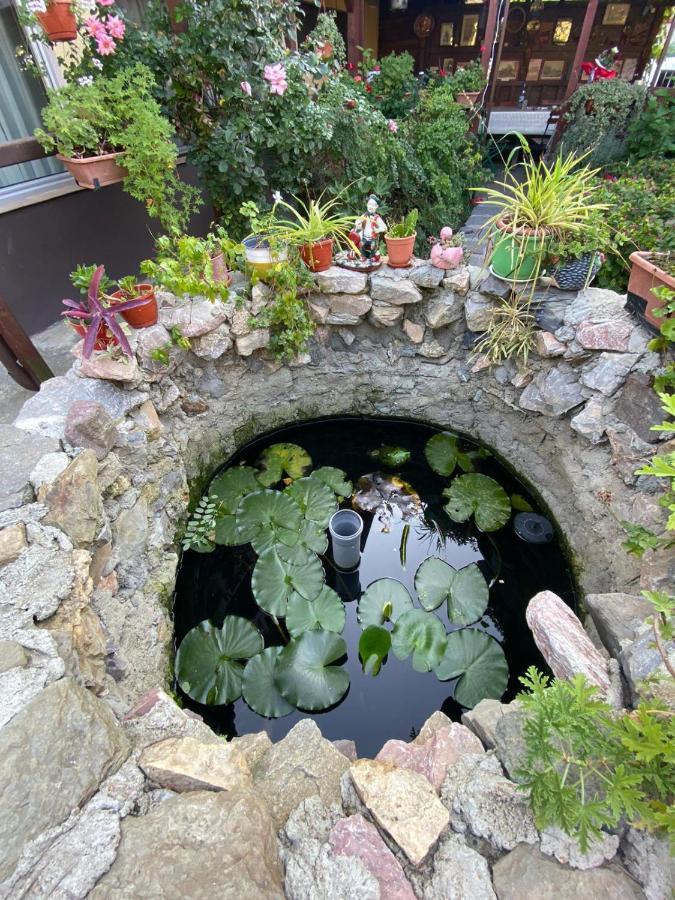 Отель Casa Donau Delta Сулина Экстерьер фото