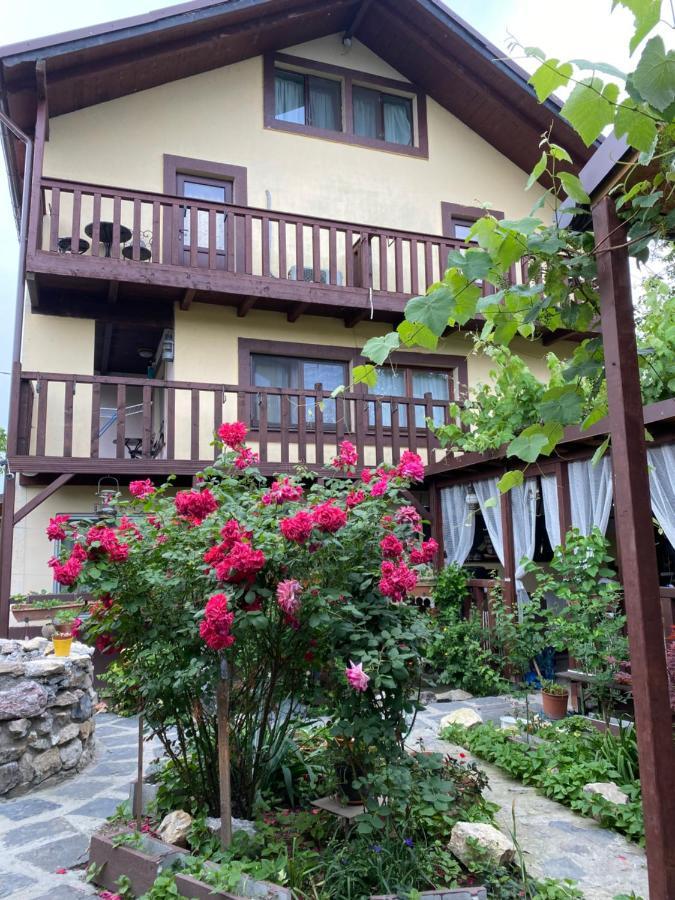 Отель Casa Donau Delta Сулина Экстерьер фото