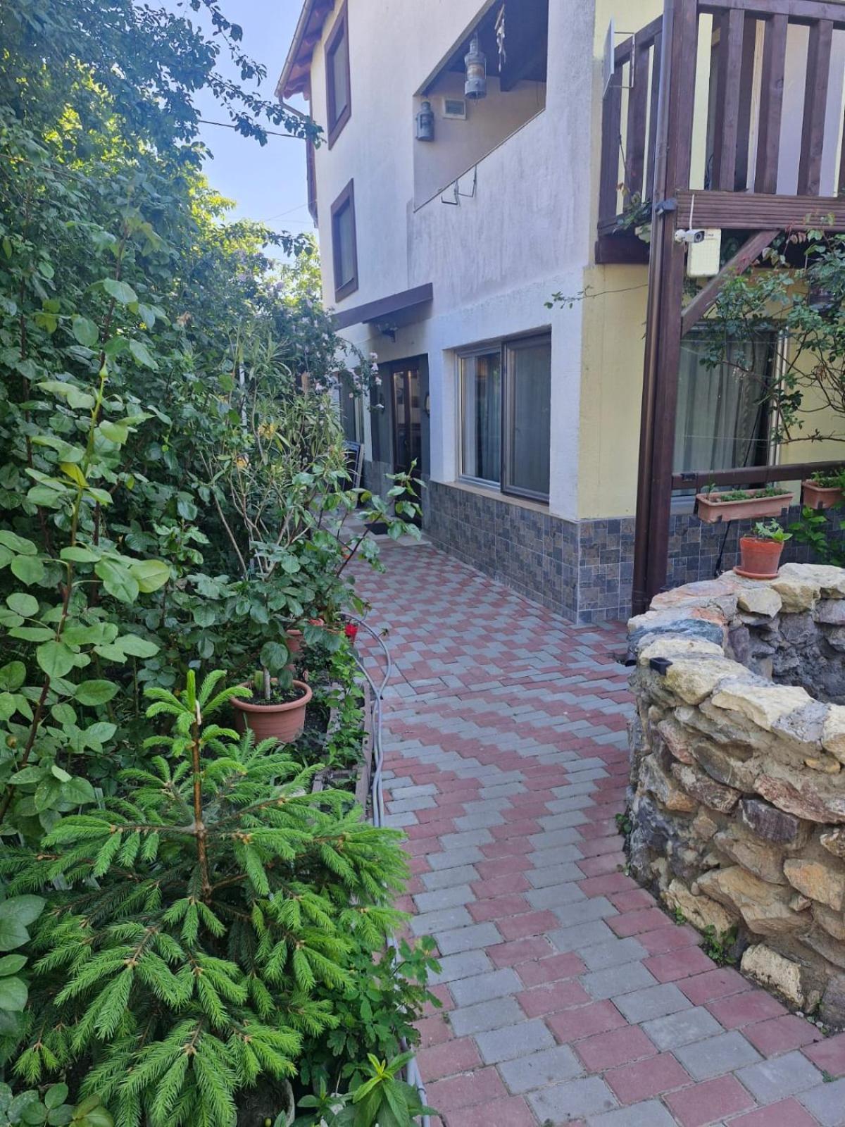 Отель Casa Donau Delta Сулина Экстерьер фото
