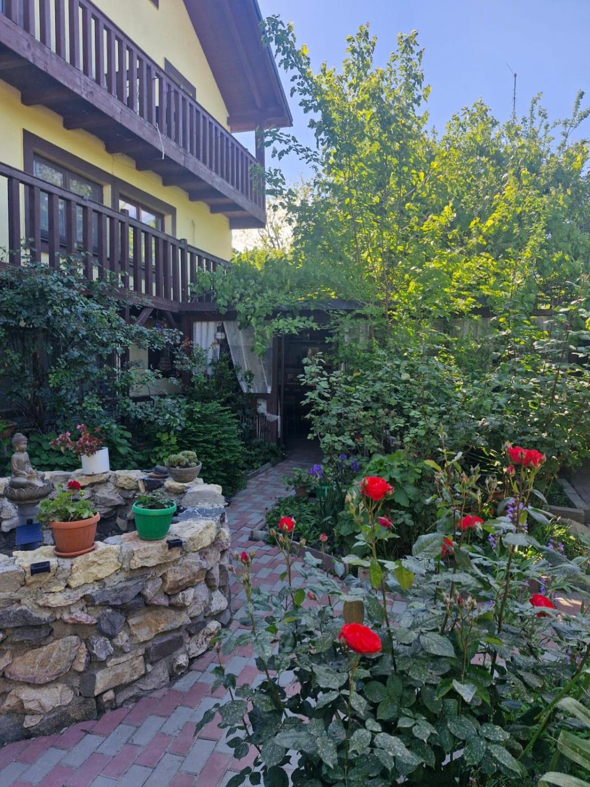 Отель Casa Donau Delta Сулина Экстерьер фото
