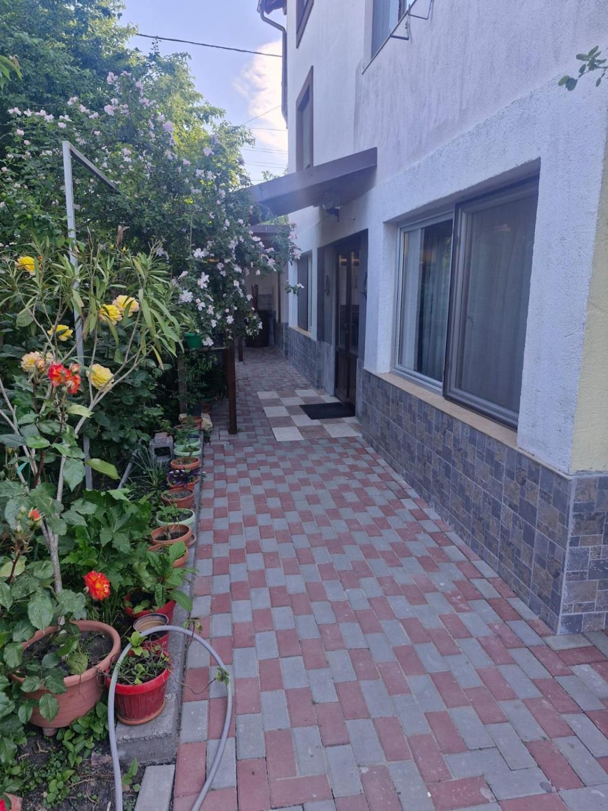 Отель Casa Donau Delta Сулина Экстерьер фото